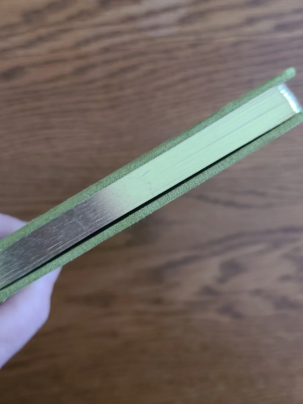 Threshold Olive Green Spiral Notebook with Gold Foil Accent